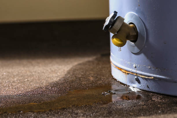 Best Mold removal after water damage  in Griffin, GA