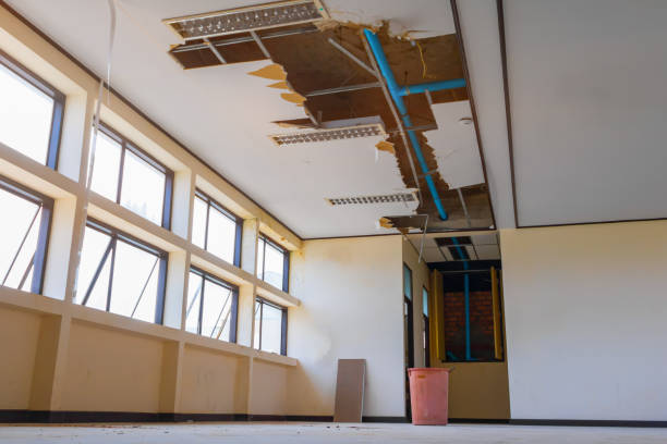 Best Flooded house restoration  in Griffin, GA