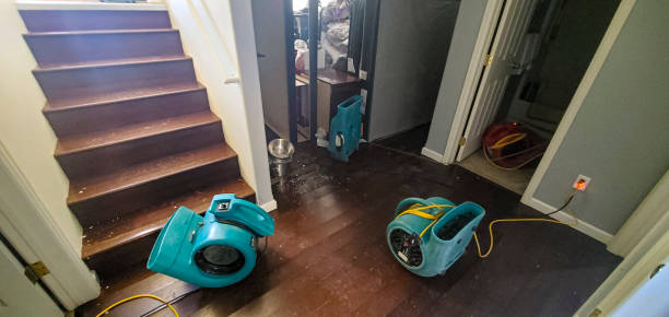Best Water damage restoration near me  in Griffin, GA