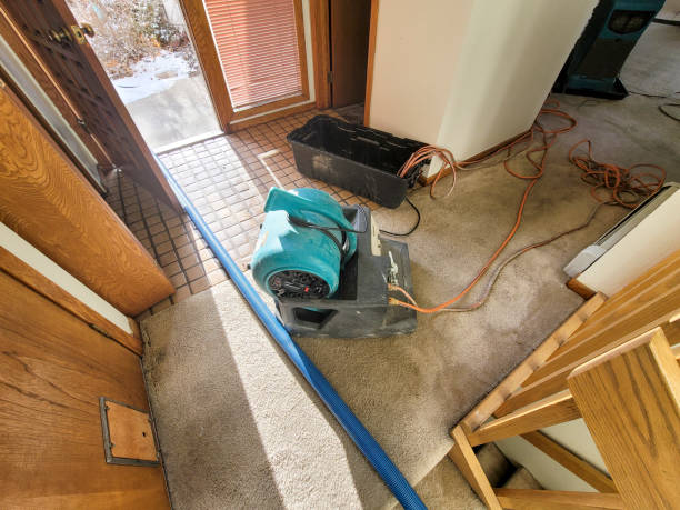 Best Sewage cleanup and water damage restoration  in Griffin, GA