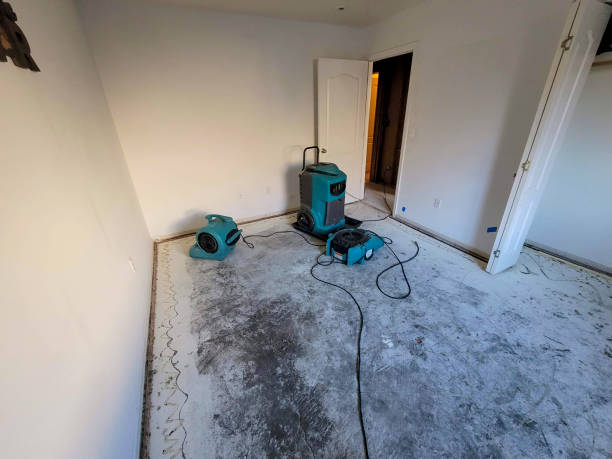 Best 24/7 water damage repair  in Griffin, GA