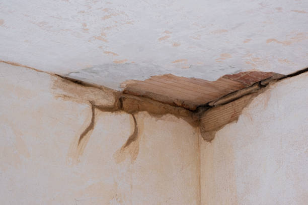 Trusted Griffin, GA Water damage restoration Experts