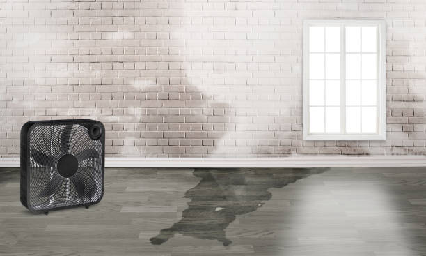 Best Water damage contractors near me  in Griffin, GA