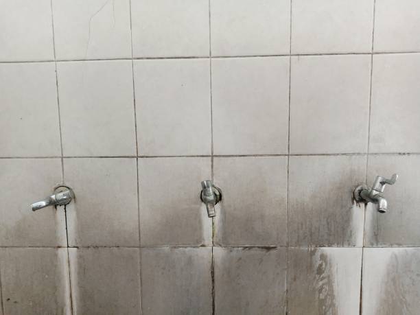 Best Local water damage restoration  in Griffin, GA