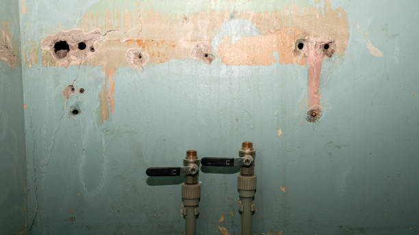 Best Sewage cleanup and water damage restoration  in Griffin, GA