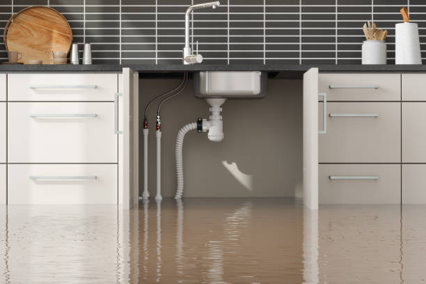 Best 24-hour water damage restoration  in Griffin, GA