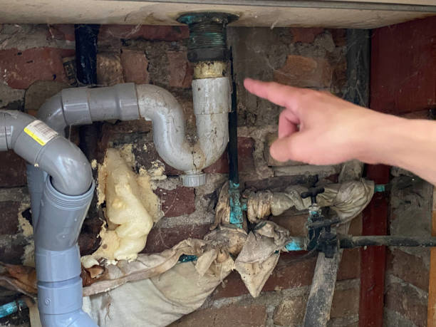 Best Professional water damage repair  in Griffin, GA