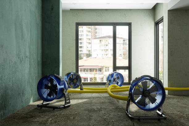 Best Water damage cleanup near me  in Griffin, GA